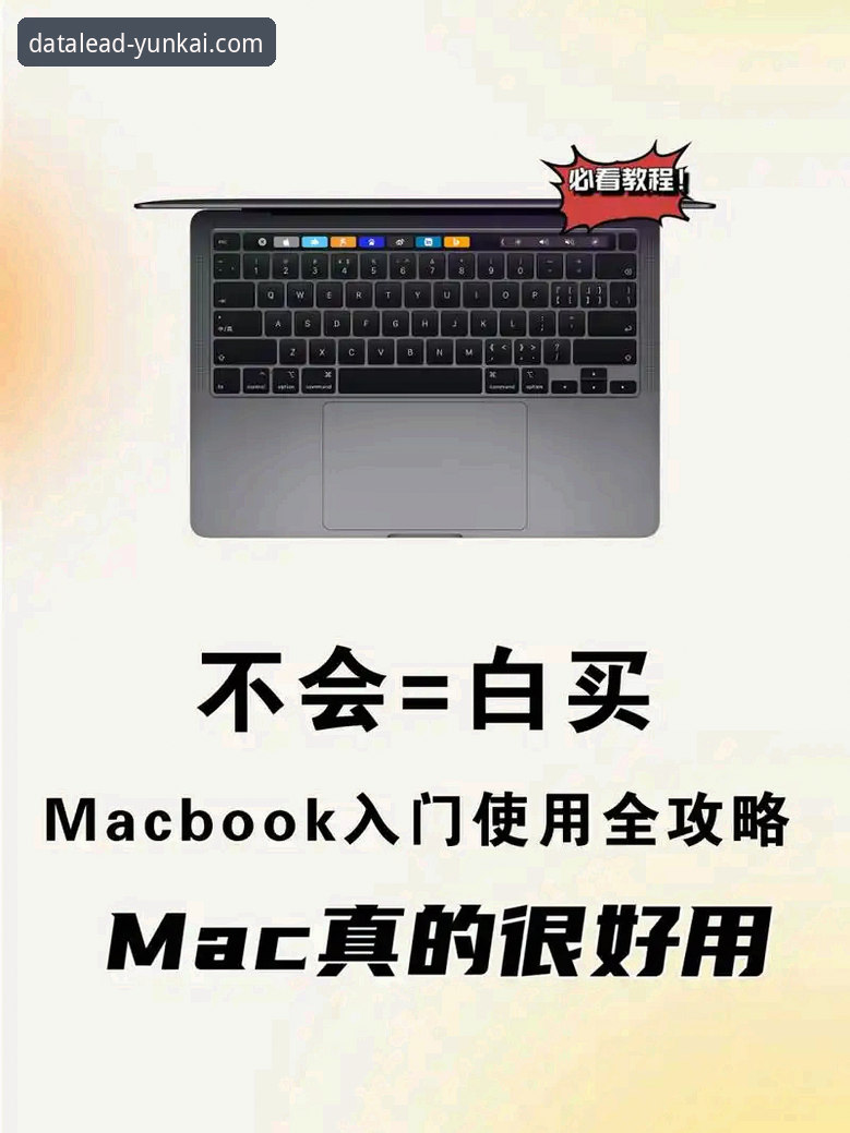 资深用户实测分享：云开体育iOS下载官方下载全流程与使用心得